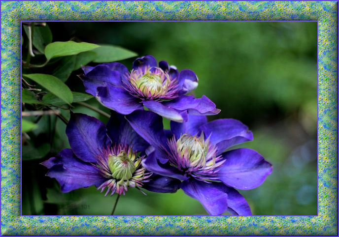 a_icon46_d8f56710.jpg