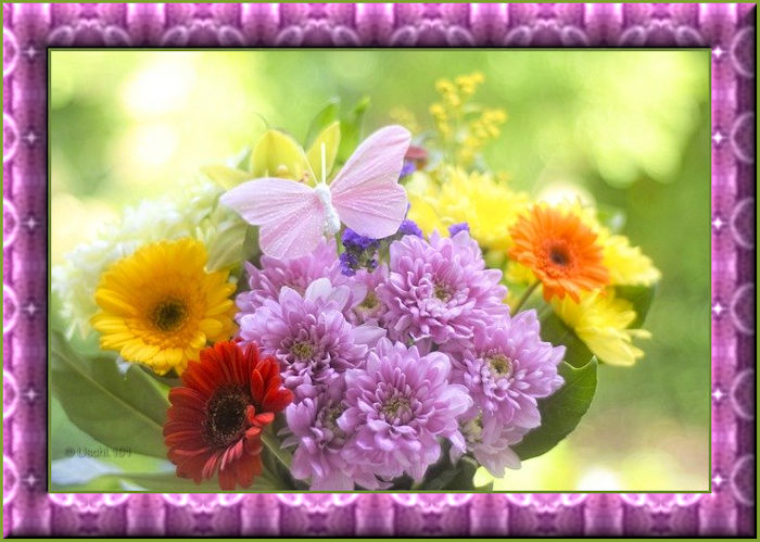 a_icon6_0138fb1e.jpg