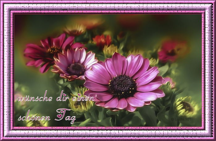 f152t13434p100939n2_JmTEVtLZ.png