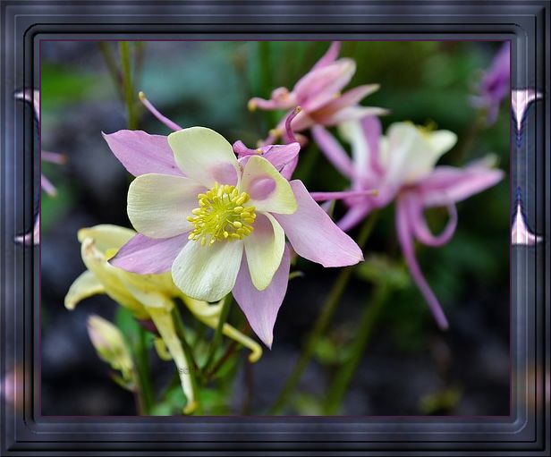 f152t13434p101279n2_FqAWoTJp.jpg