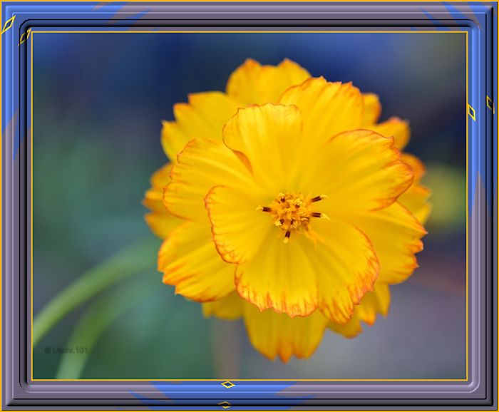 f152t13434p101306n2_ORSBHJoE.jpg