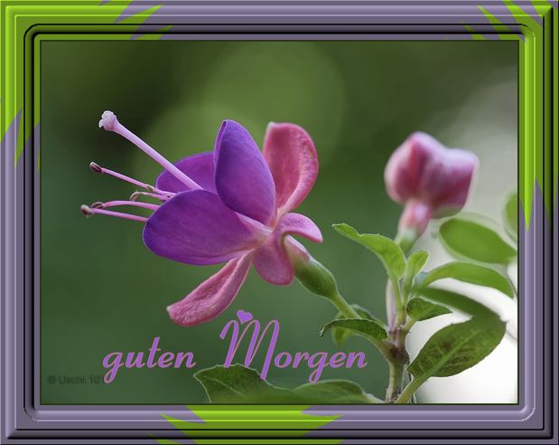 f152t13434p101340n2_smyKWXhD.jpg