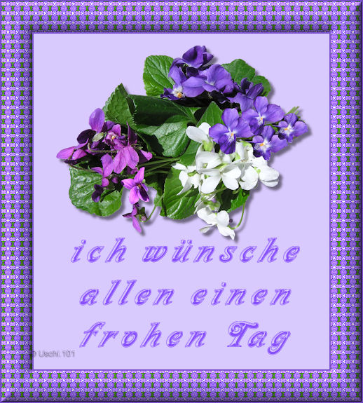 f152t13434p95921n4_AsrRSBop.jpg