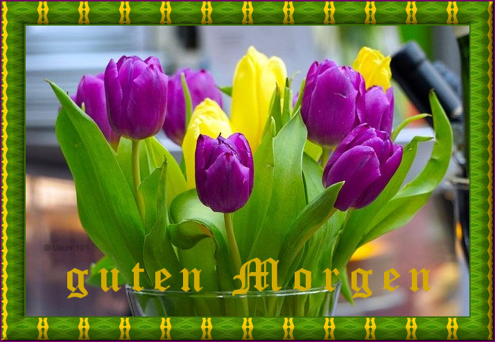 f152t13434p96451n2_NdvcwCUT.jpg