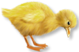 f152t13434p96693n2_gRuZXAyU.png