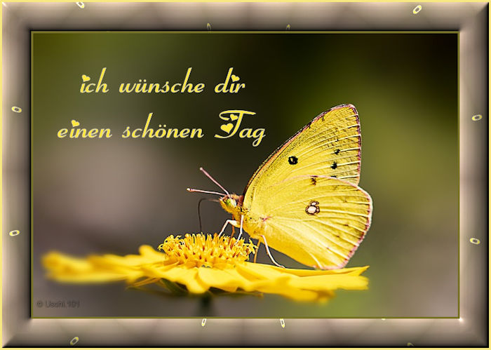 f152t13434p99214n2_rydNuSQR.jpg