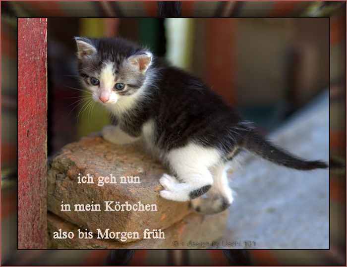 https://files.homepagemodules.de/b595543/f152t14145p111440n2_ZbFdXSts.jpg