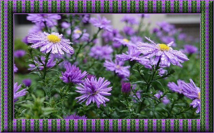 f152t13434p102391n2_NStlmVud.jpg