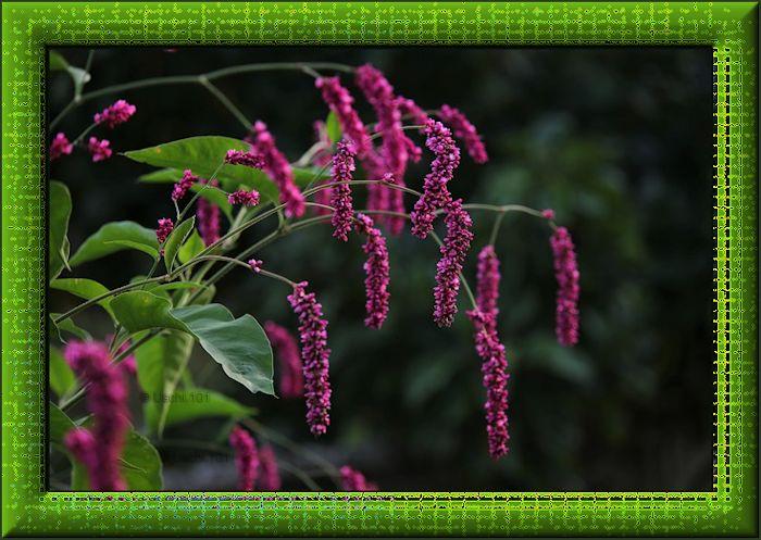 f152t13434p102446n2_fmoAzNeU.jpg