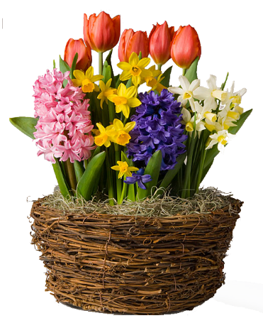 f152t14145p108565n2_CLErqQkY.png