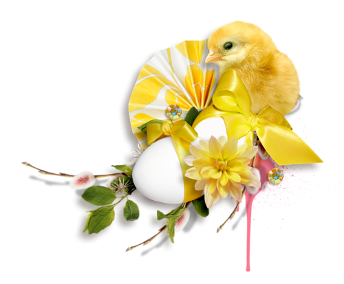 f152t14145p108922n2_nhJfvUKr.png
