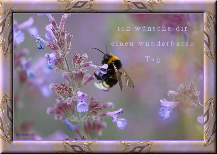 f152t14145p109510n2_EGXxVvPh.png