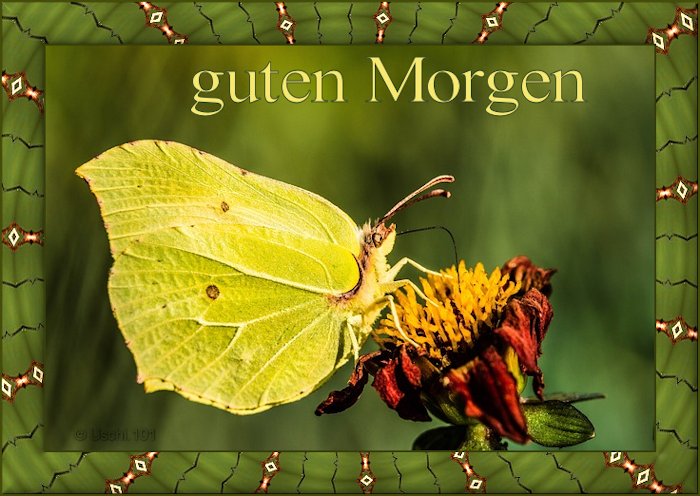 f152t14145p110675n2_DJdaNWSz.png