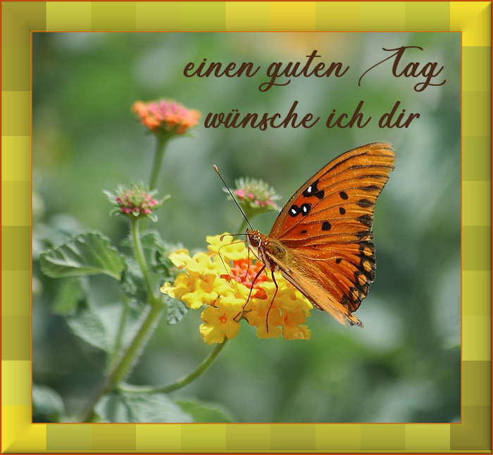 f152t14145p110950n2_VEofzPMA.png