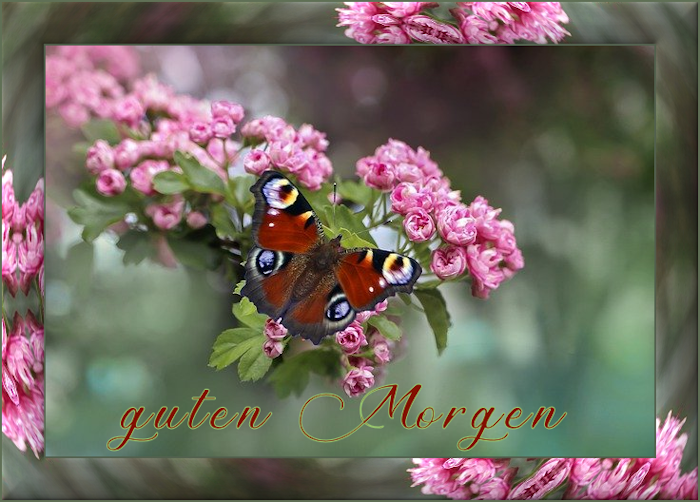 f152t14145p110996n2_adBiKfxW.png