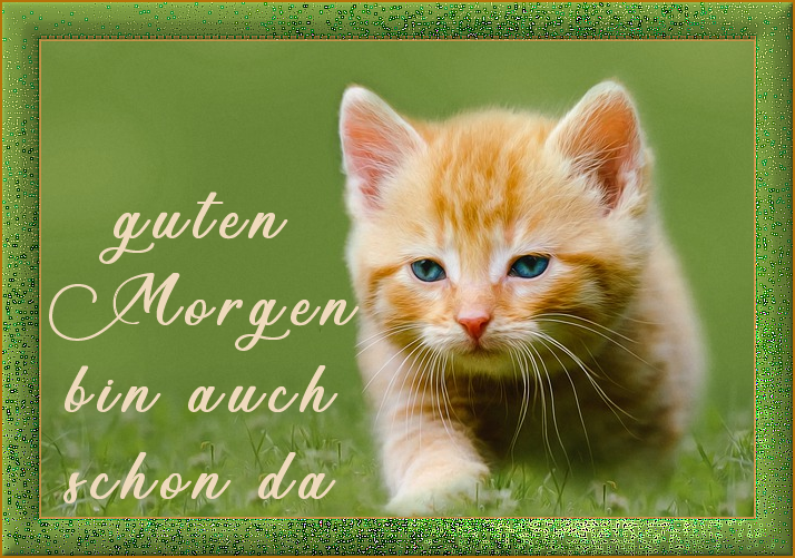 f152t14145p111028n2_tqdHVvQG.png