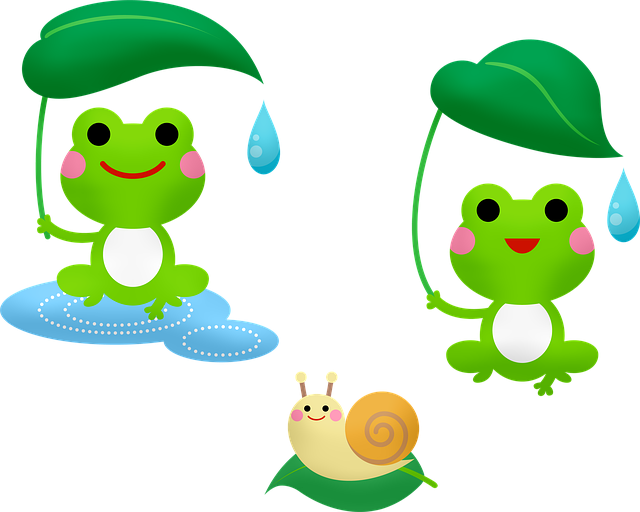 f152t14145p111326n2_nYAOsQSB.png