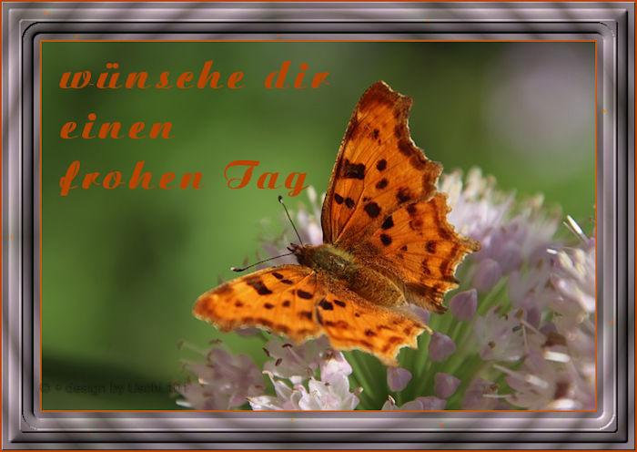 f152t14145p112633n2_SUXCIeku.jpg