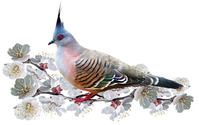 f152t14664p119403n2_YpACMbLT.png