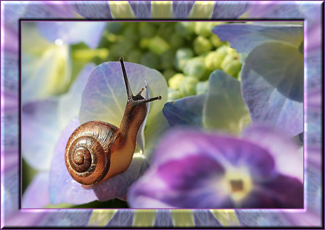 f152t14664p119431n2_SbQXovqW.png