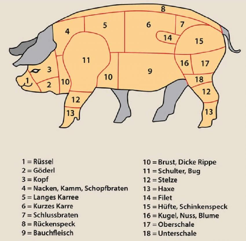 schwein 1 wo ist was.jpg