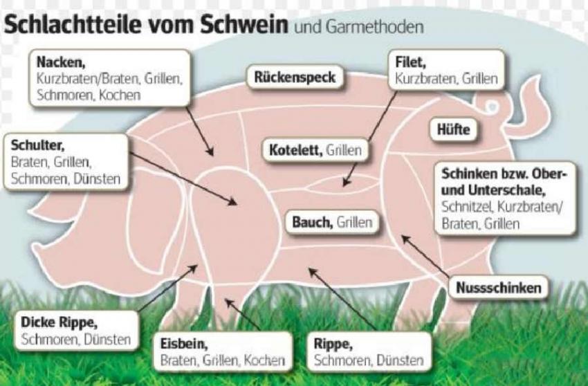 schwein 2 wo ist was.jpg