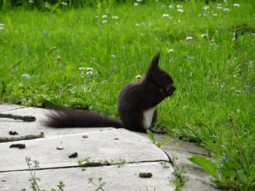 DSC06006.JPG