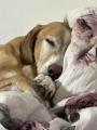 IMG_7070.jpeg
