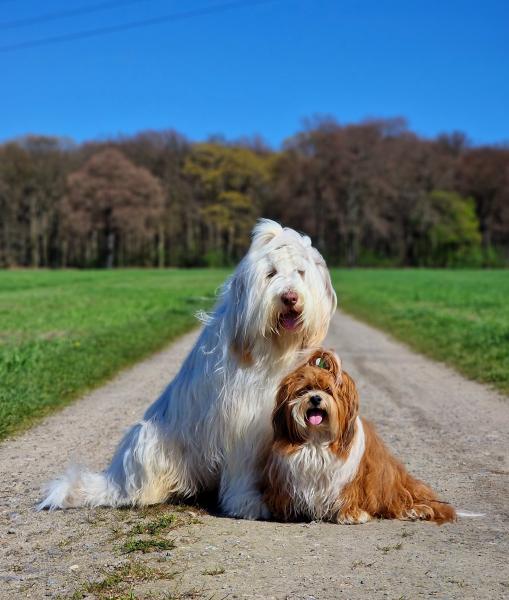 Bounty & Fino