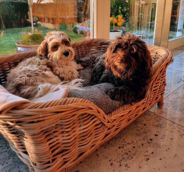 Oskar und Mila
