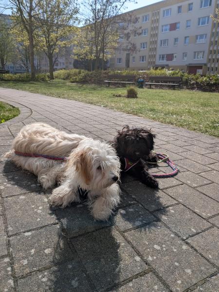 Elli ; Amy und Lara