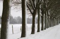 Winter in Westbevern_Kirchp&auml;ttchen_3