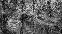 Wasserringe