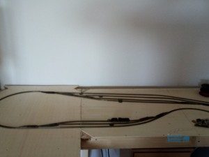 IMG_20200517_142320.jpg