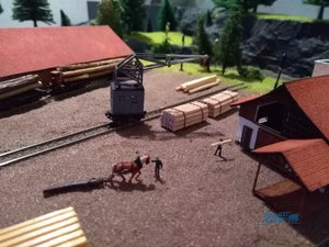 IMG_20190117_122551.jpg