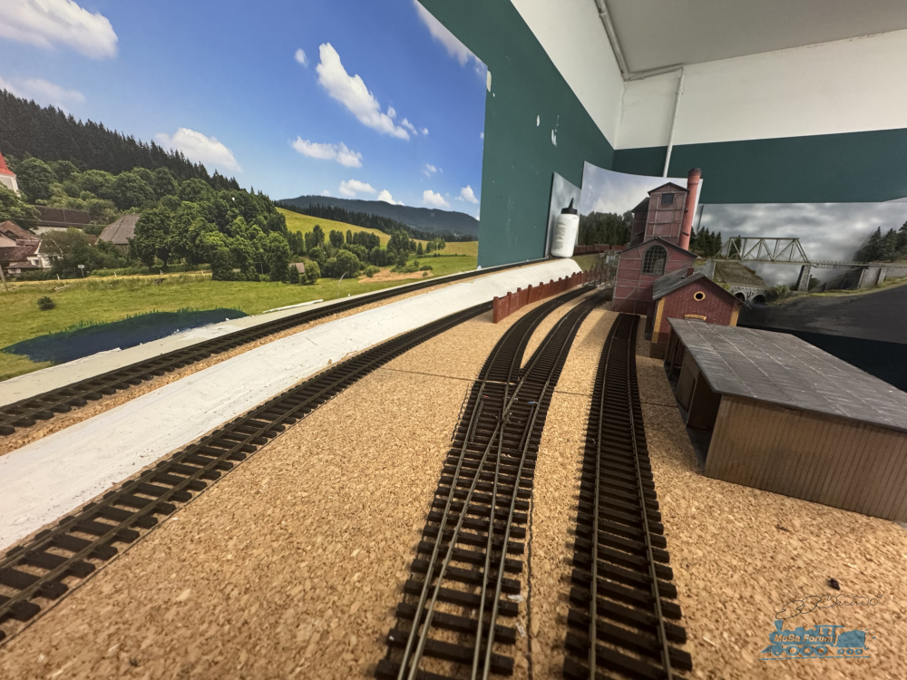 IMG_9397.jpeg