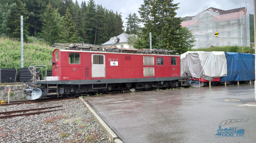DSC_1280.JPG