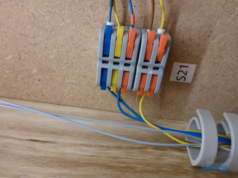 P1070860.jpeg
