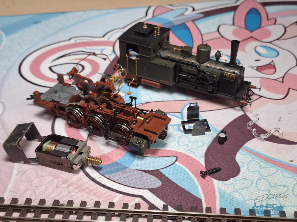 20260914_134214.jpg