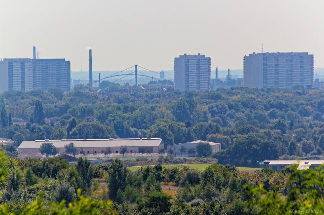 Gr&uuml;nes Ruhrgebiet VI