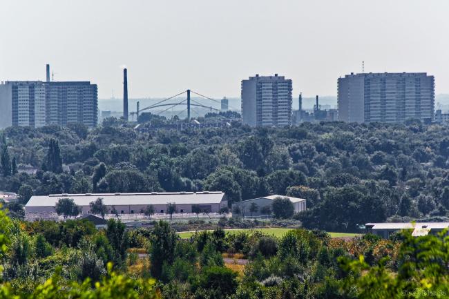 Gr&uuml;nes Ruhrgebiet VI - Bearbeitung