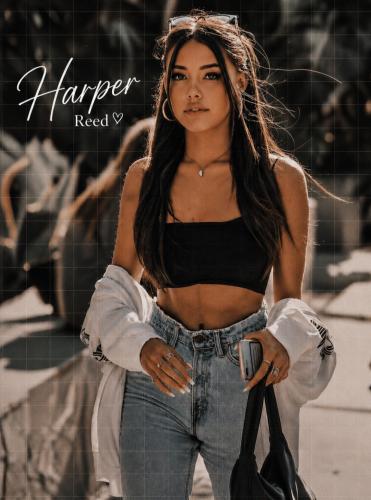 Harper Reed